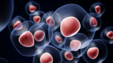 Human Cells Can 'Come Back' From The Brink of Death, Scientists Share Breakthrough Discovery