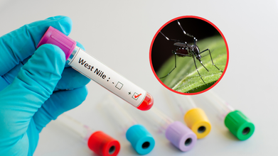 Health Officials Confirm First West Nile Death In Colorado – Can You Get It More Than Once?