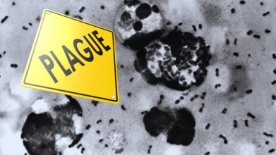 Justinian Plague