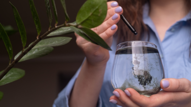 Do TikTok’s Trending Supplement 'Chlorophyll & Collagen' Drink Really Work?