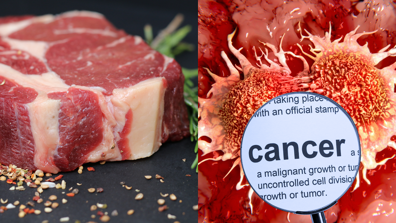 Once Thought Deadly, THIS Ingredient Could Lower Cancer Death Rates ...