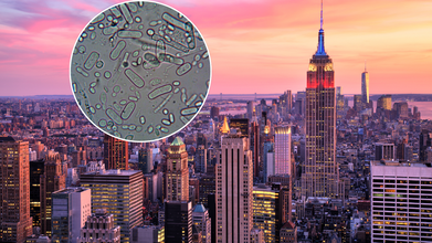 New York City Declares Harlem Legionnaire’s Disease Outbreak Over: Here's What Killed 7 People