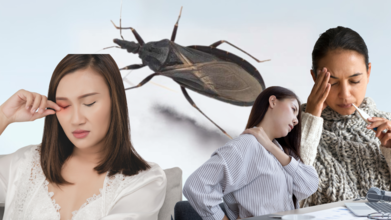 ‘Kissing Bug’ Epidemic In US: What You Need To Know About Chagas Disease, Is it Contagious?
