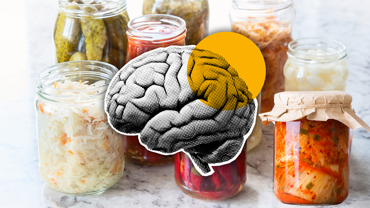The 2026 Nootropic Diet