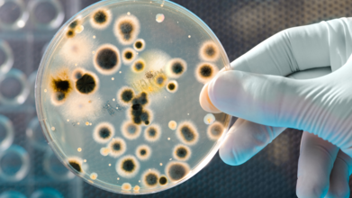 Could This New Bacteria Kill Cancer Tumors Without Immune System Support?