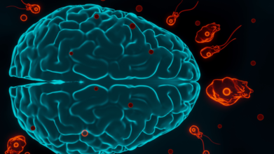 Panic In Kerala As Brain-Eating Amoeba Claims 5 Lives In A Month, 11 Under Watch