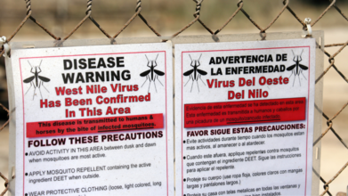 West Nile Virus Isn't Over Yet, New Cases In US On Rise