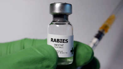 Rabies Deaths in India: Why People Still Die Despite Effective Vaccines