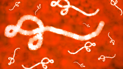 Ebola Outbreak: Why African Countries Are Disproportionately Impacted By The Disease?