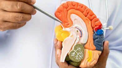 World Alzheimer’s Day 2025: 5 Early Warning Signs of Alzheimer’s
