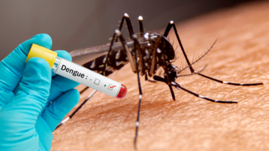 What Makes The Dengue Season 2025 Different? Unique Symptoms Of Dengue In 2025 And How Long It Lasts