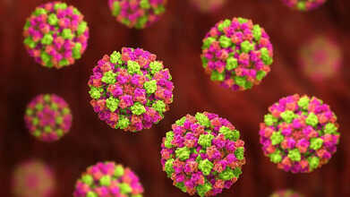 norovirus outbreak cruise ship
