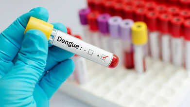 dengue ibuprofen