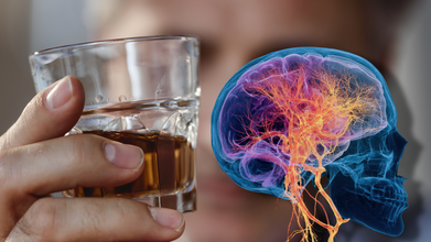 Scientists Find The Brain Circuit That Keeps Alcohol Users Addicted To It: Study Pinpoints Why It Is Difficult To Stop Using