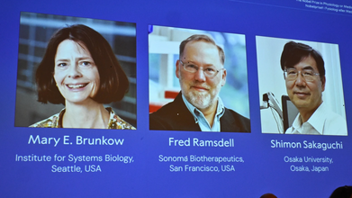 Explained: What Are The 3 Scientists Awarded Nobel Prize In Medicine For?