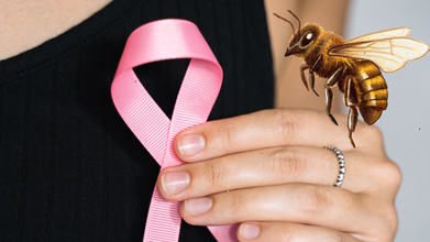 Honey Bee Venom Can Kill Breast Cancer Cells