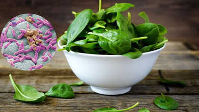 hellofresh spinach