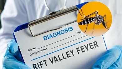rift valley fever
