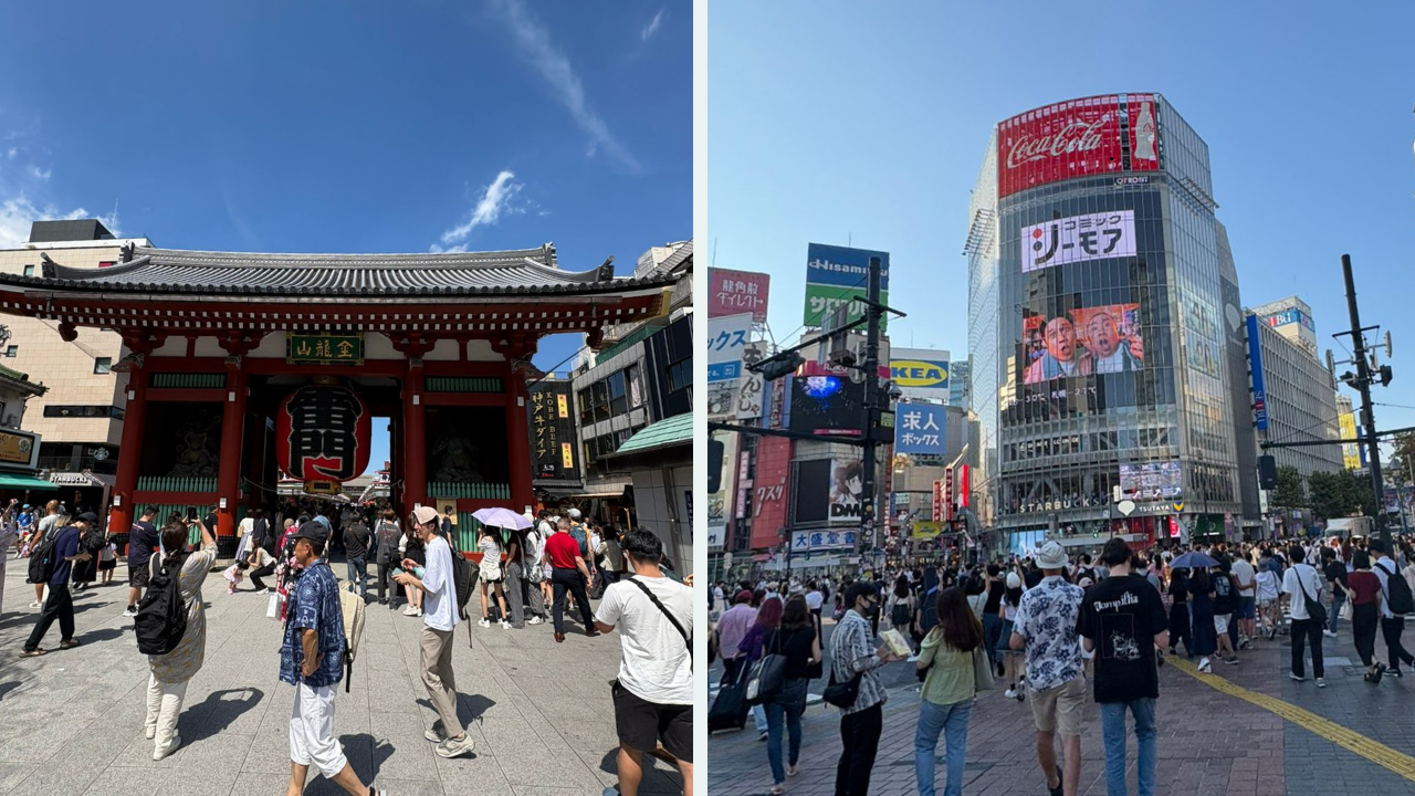 Japan Sees Early Flu Season as Virus Evolves, But Health Experts Advise Simple Precautions Over Worry