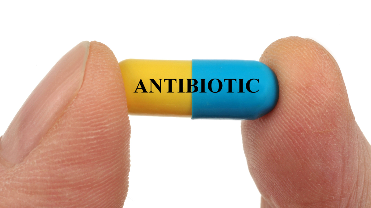 India’s New Antibiotic in 30 Years Offers Hope Against Antibacterial-Resistant Infections