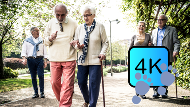 Seniors, Pay Attention! Walking Just 4,000 Steps Once a Week Can Significantly Lower Your Risk of Early Death