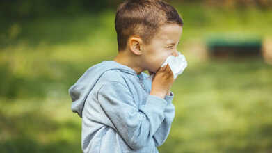 pollen allergy