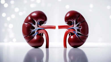 hyderabad kidney disease