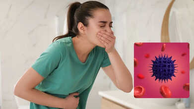winter stomach bug