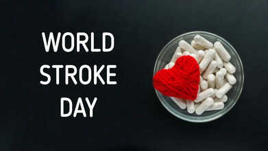 world stroke day 2025