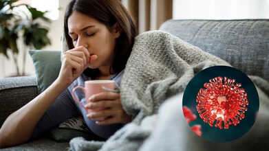 frankenstein covid variant cough