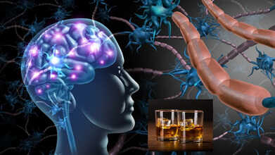 what happens to brain when alcohol