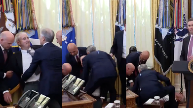 Fact Check: Did Novo Nordisk Executive Faint In Oval Office? Here's What Actually Happened