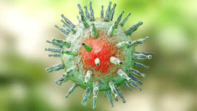 epstein barr virus