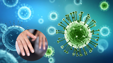 We All Could Carry The Epstein-Barr Virus That Triggers Lupus, According To Stanford Scientists