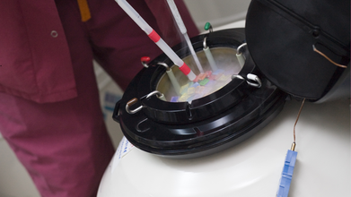 How Egg Freezing Is Giving Women More Control Over Their Life