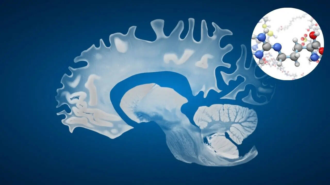 alzheimer risk supplement