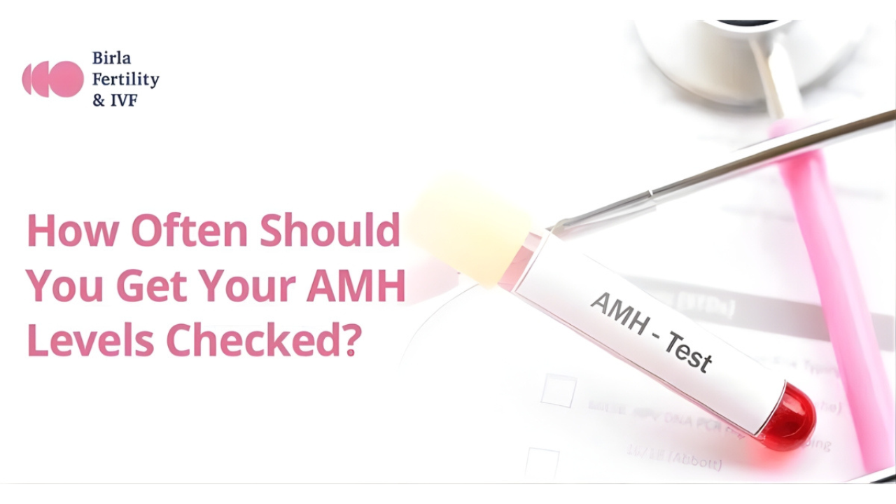 How Often Should You Get Your AMH Levels Checked?