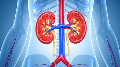 4 Simple Tests That Can Detect Kidney Diseases Early, According To Doctor