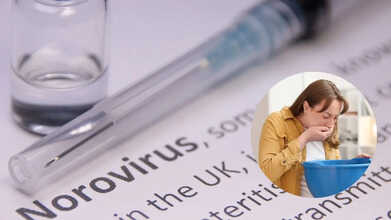 winter vomiting disease norovirus