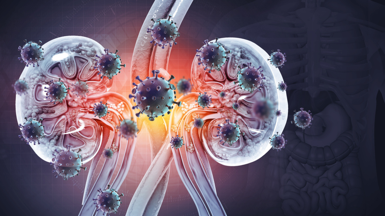 Is There A Link Between Your Kidney Health And Other Chronic Diseases? Study Says Yes