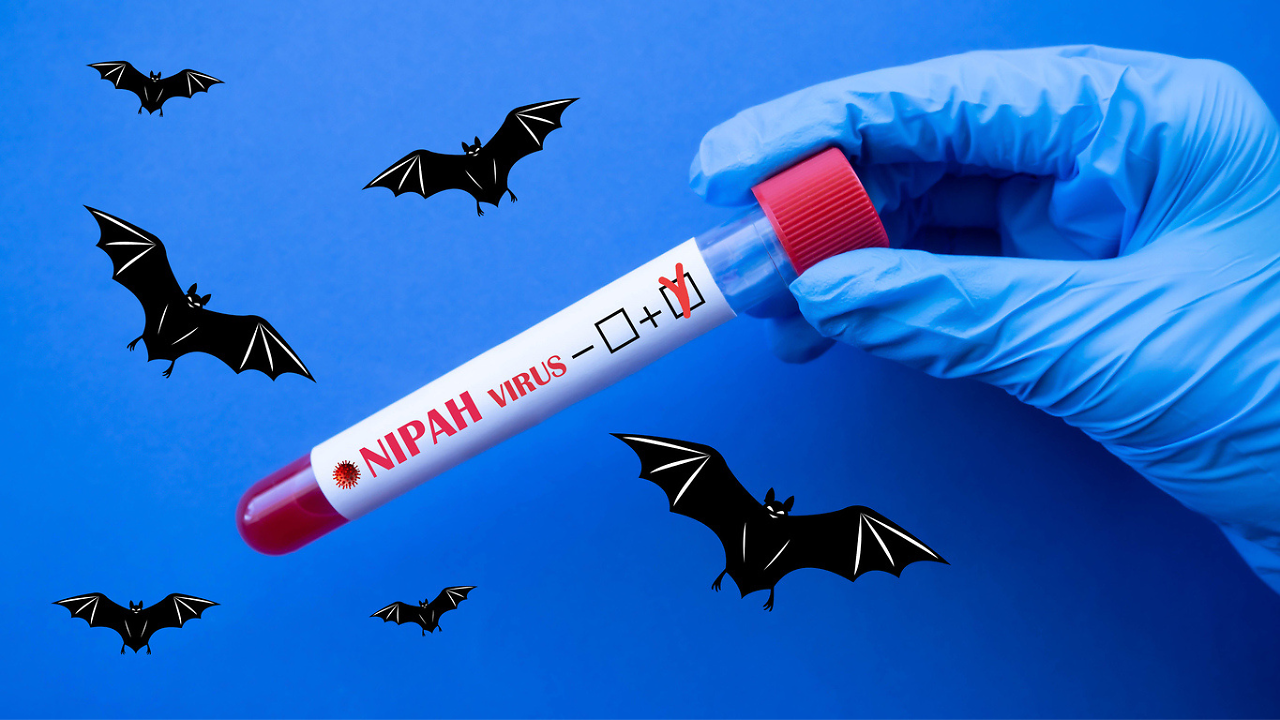 Nipah Virus Outbreak In India: All That You Need To Know About This ...