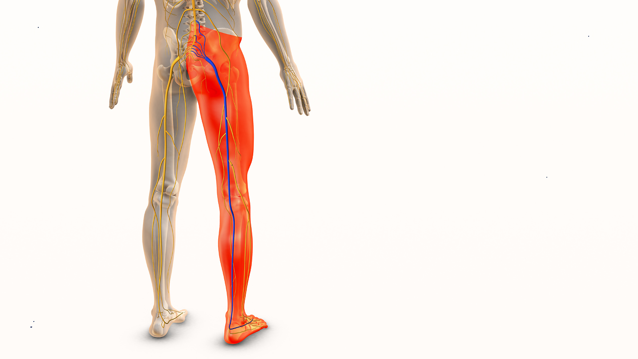 How Leg Stiffness Impacts Spine Health: Tips For Gen Z Fitness ...