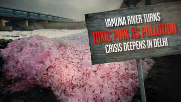 Yamuna River Turns Toxic Pink As Pollution Crisis Deepens In Delhi