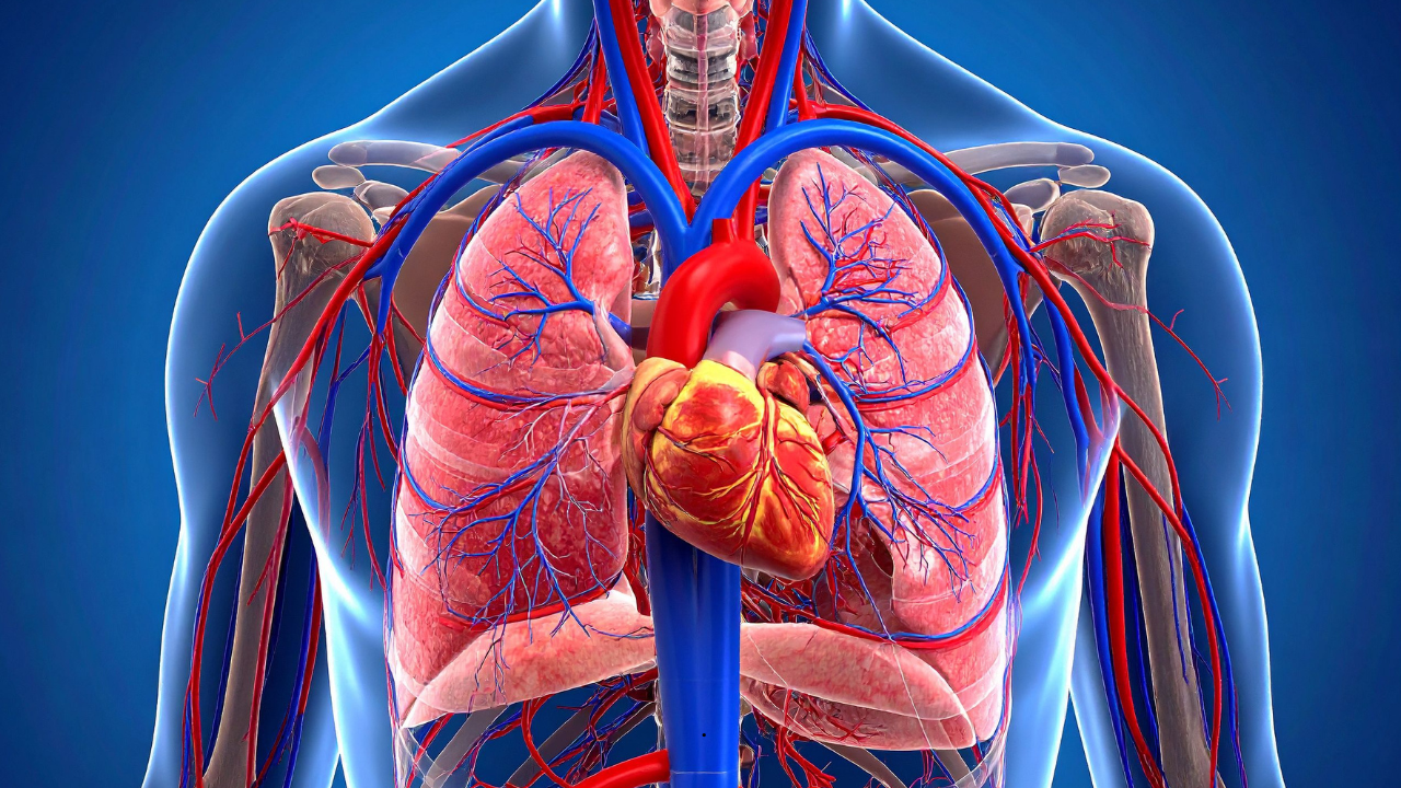 Scientists Develop New Technique To Prevent AFib-Caused Strokes