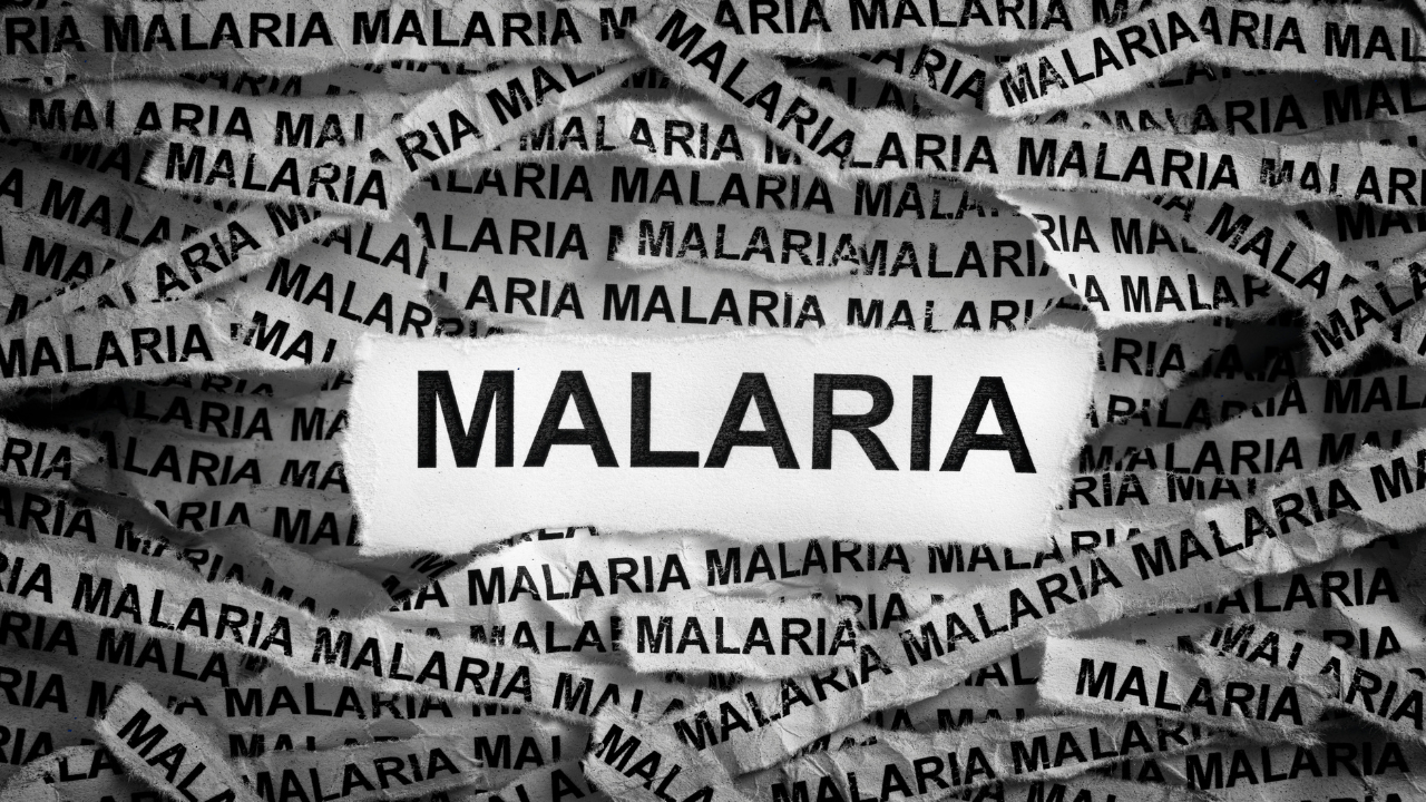 Why Clean Surroundings Are The First Line Of Defense Against Malaria