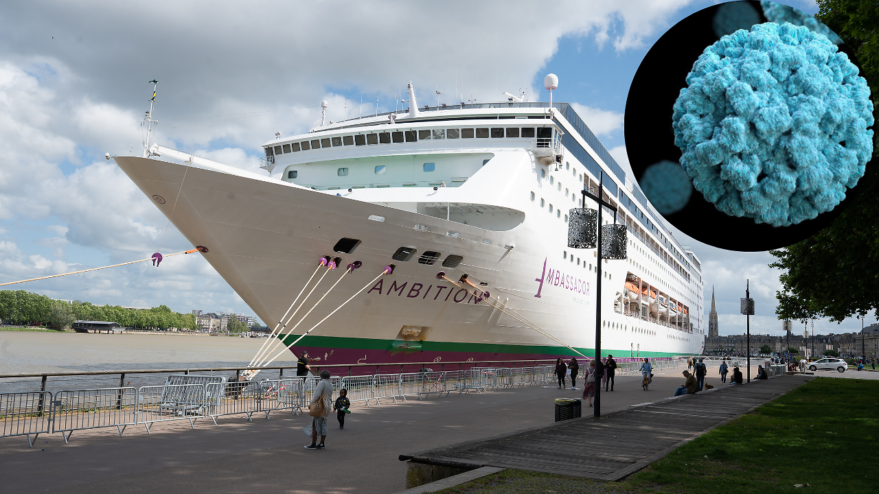 Another Norovirus Outbreak Confirmed Aboard Cruise Ship In France; Over ...
