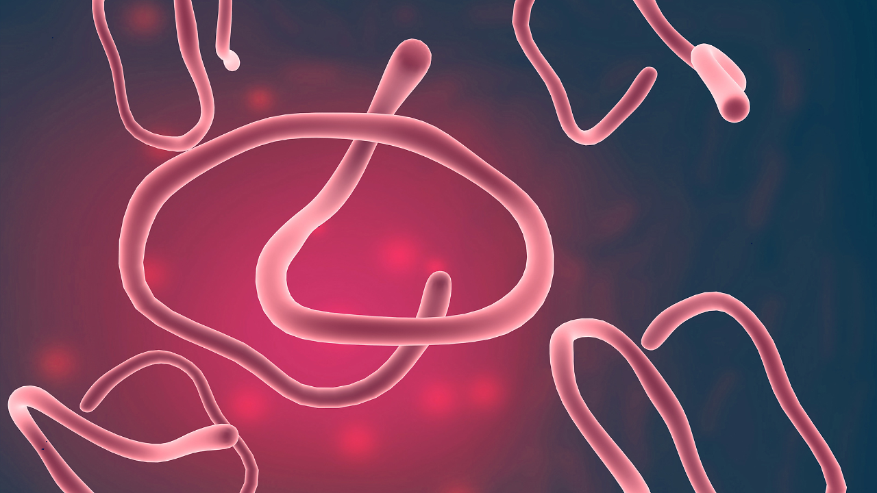 Ebola Bundibugyo Strain: All You Should Know About The Rare Virus ...