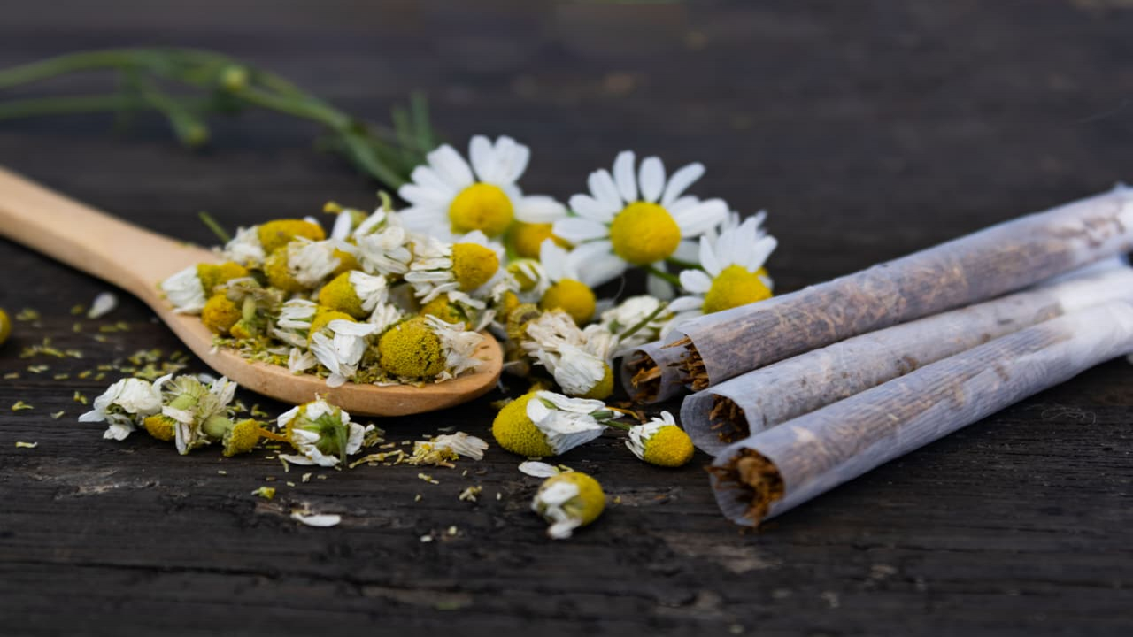 tobacco withdrawal Why Quitting Smoking Feels Hardest: Withdrawal Symptoms & Recovery