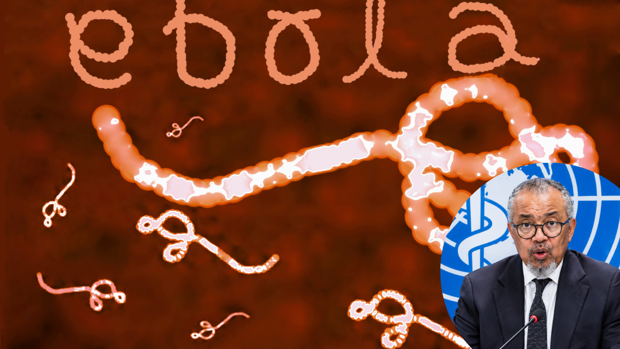 News thumbnail