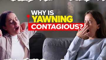 Why Do We Yawn When Others Yawn? A Psychiatrist Explains the Science